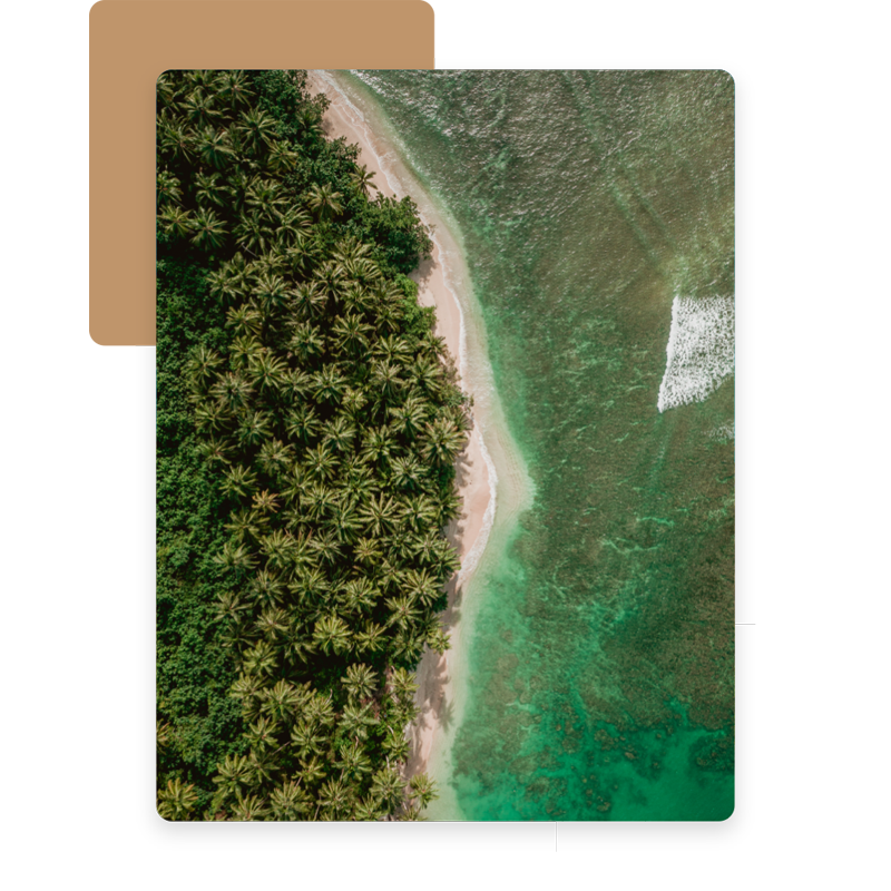 萬那杜生活需要幫忙